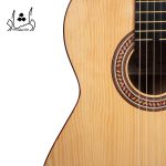 قیمت گيتار آگرين طرح 5