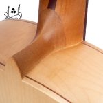 قیمت گيتار آگرين طرح 6