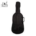 هاردکیس ويولنسل فونيکس CP101 R سايز 4.4