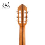 پشت گوشی گيتار آگرين طرح 4