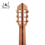 پشت گوشی گيتار آگرين طرح 5