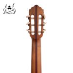 پشت گوشی گيتار آگرين طرح 6