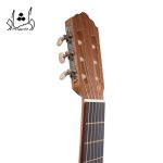 گوشی گيتار آگرين طرح 5