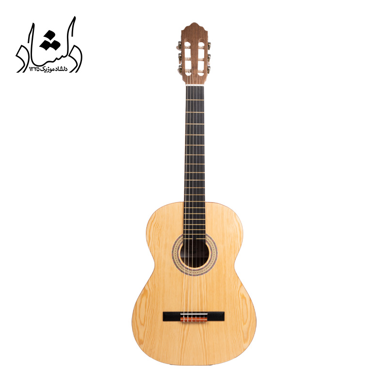 گيتار آگرين طرح 4