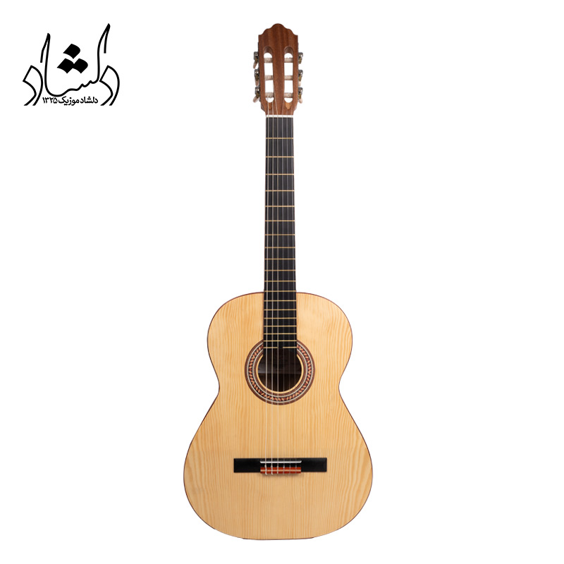 گيتار آگرين طرح 5
