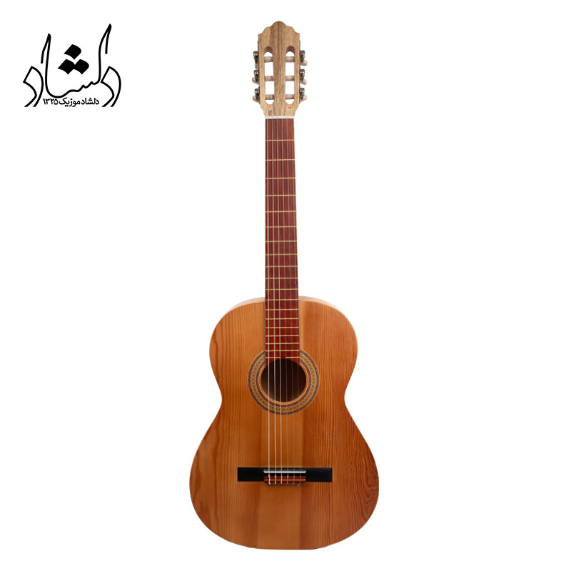 گيتار آگرين طرح 6