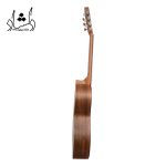 گيتار برند آگرين طرح 5