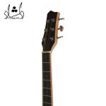 دسته گیتار آکوستیک فندر