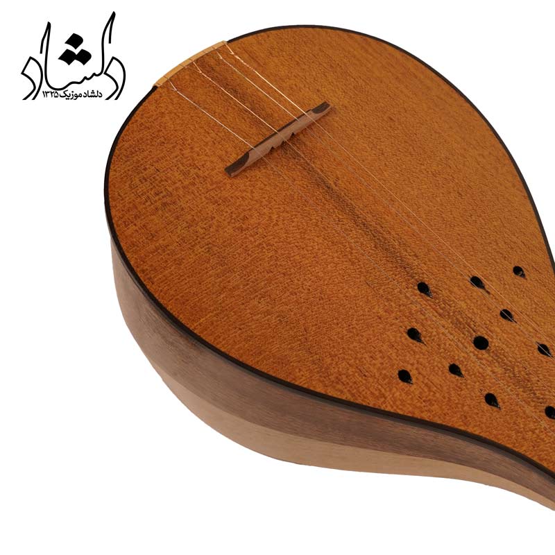 دیتیل سه تار مفاخری کاسه دو رنگ