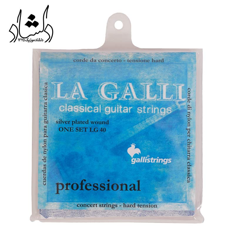 فروش انواع سازهای موسیقی ایرانی و خارجی سیم گالی LG40