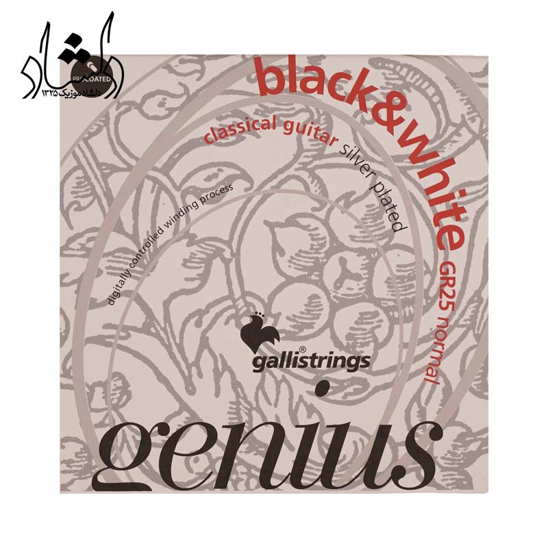 فروش انواع سازهای موسیقی ایرانی و خارجی سیم گیتار کلاسیک گالی مدل Black&White GR25
