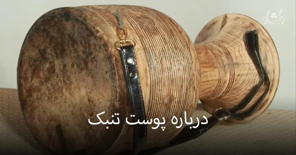 همه چیز درباره ی پوست تنبک