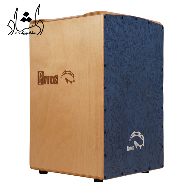 فروش انواع سازهای موسیقی ایرانی و خارجی کاخن Palos C611 طرح 10