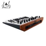 سینتی سایزر korg monoluge