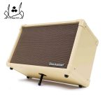 آمپلی فایر گیتار Blackstar Acoustic:Core 30