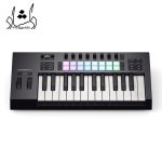 میدی کنترلر Novation Launchkey 25 MK4