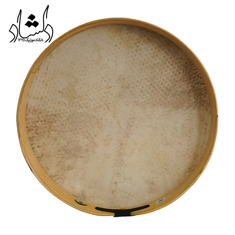 بندیر پوستی IP پوست