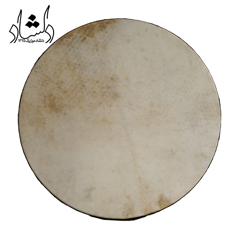 بندیر پوستی IP