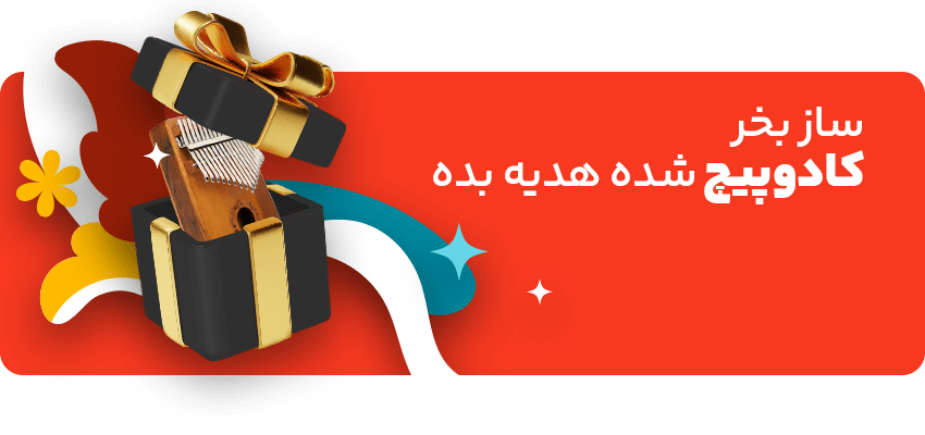 خرید انواع ساز کادویی در بلک فرایدی دلشاد موزیک تا 90 درصد تخفیف