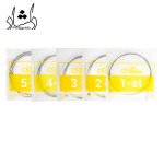 سیم گیتار بیس Alice مدل A606