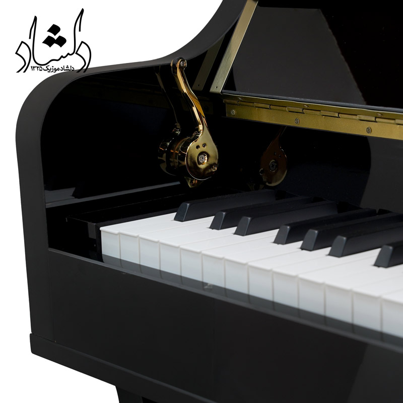 قیمت پیانو دیجیتال سوزوکی s225 plus مشکی