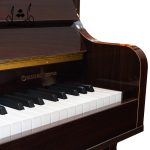 پیانو دیجیتال سوزوکی S225 Plus طرح آکوستیک - Image 14