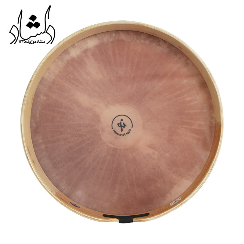 پوست بندیر باس IP