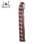 کاور فلوت لاکوتا سرخپوستی