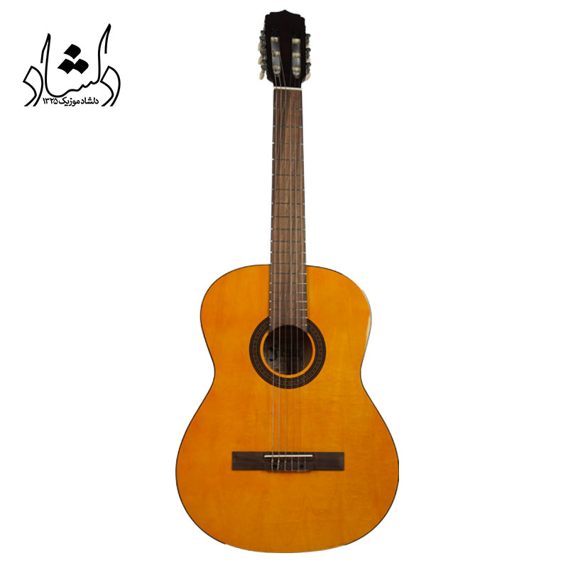 گيتار کلاسيک آريا مدل Fst200 N
