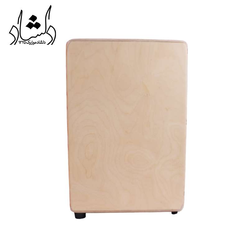 صفحه کناری کاخن پالس طرح 1
