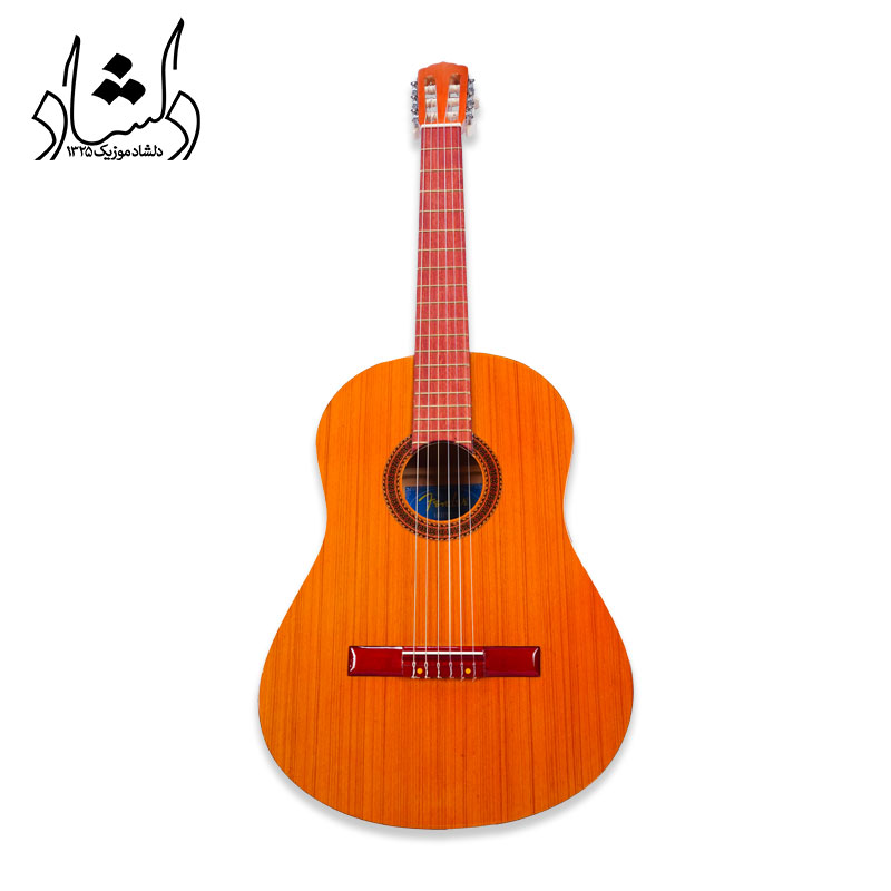 گیتار کلاسیک طرح فندر مدل A30 طرح 4