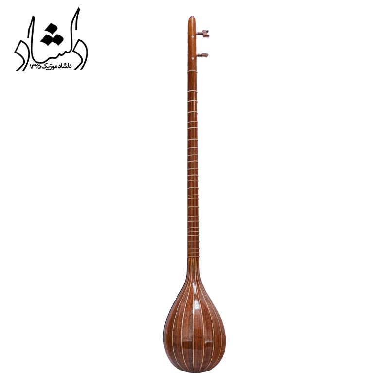 سه تار دو مهر نظری از پشت